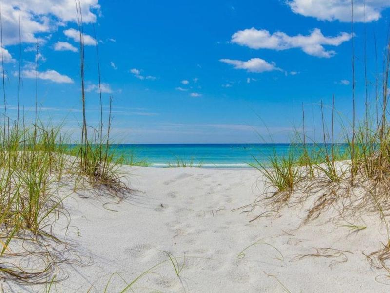 Salty Dolphin - Gulf Front Oasis - image 18