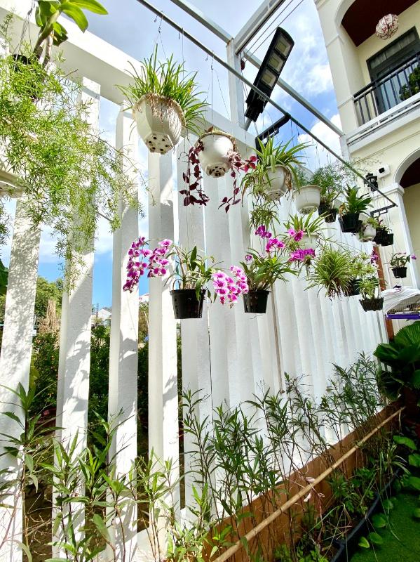 Golden Field Villa& Apartment - image 7