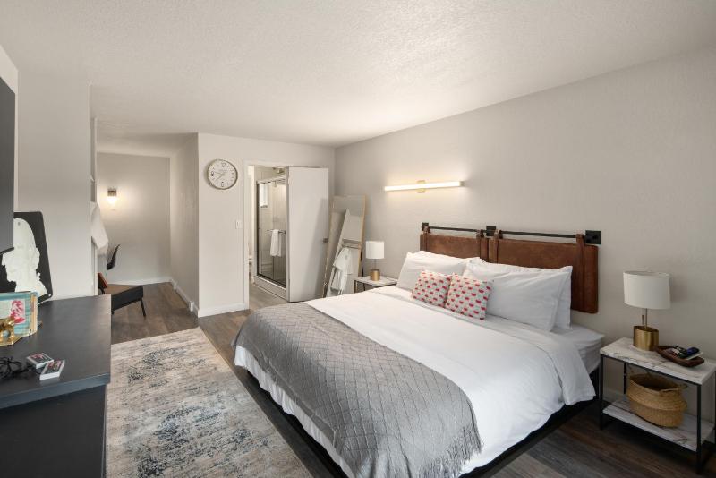 Deluxe King Suite image 3
