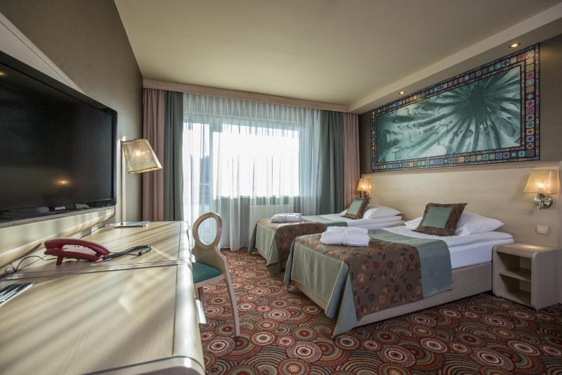 Standard Double or Twin Room image 4