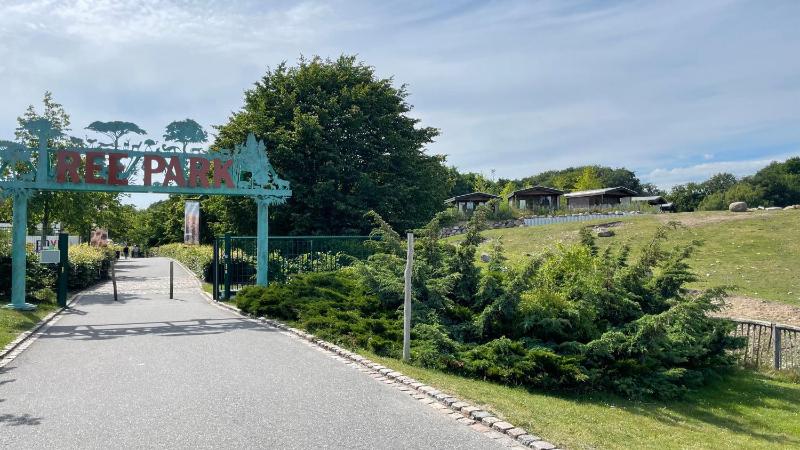 Ree Park - image 16