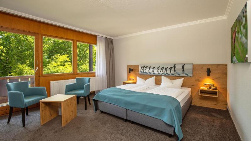 Superior Double Room image 4