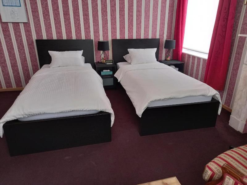 Deluxe Twin Room image 2