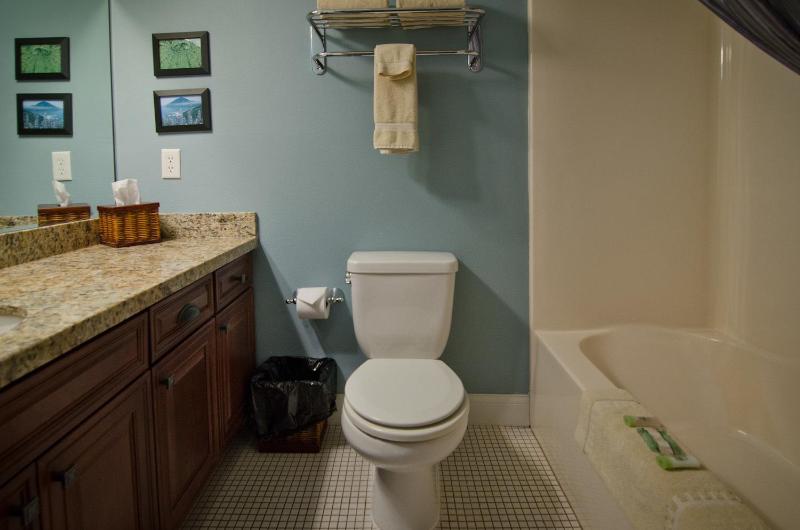 Deluxe King Room with Ocean View image 4