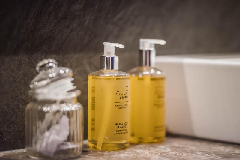 Deluxe Suite image 4