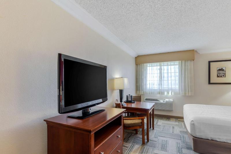 King Room image 4