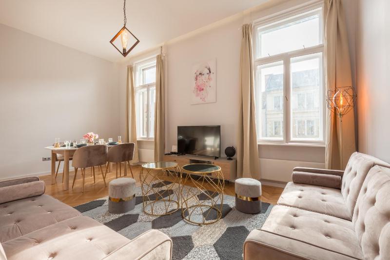 Space and Elegance in The Heart of Budapest - image 9