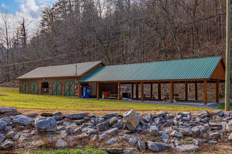Southern Luxury Cabin with Fireplace and Grill - image 4