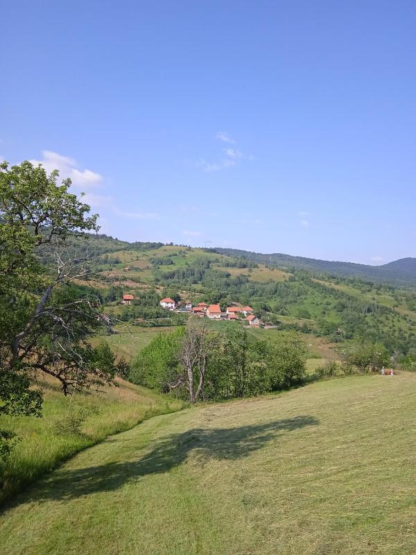 Double or Twin Room with Mountain View image 2