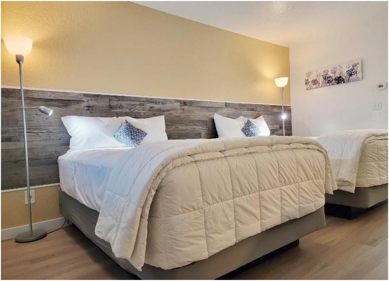 Standard Double Room image 4
