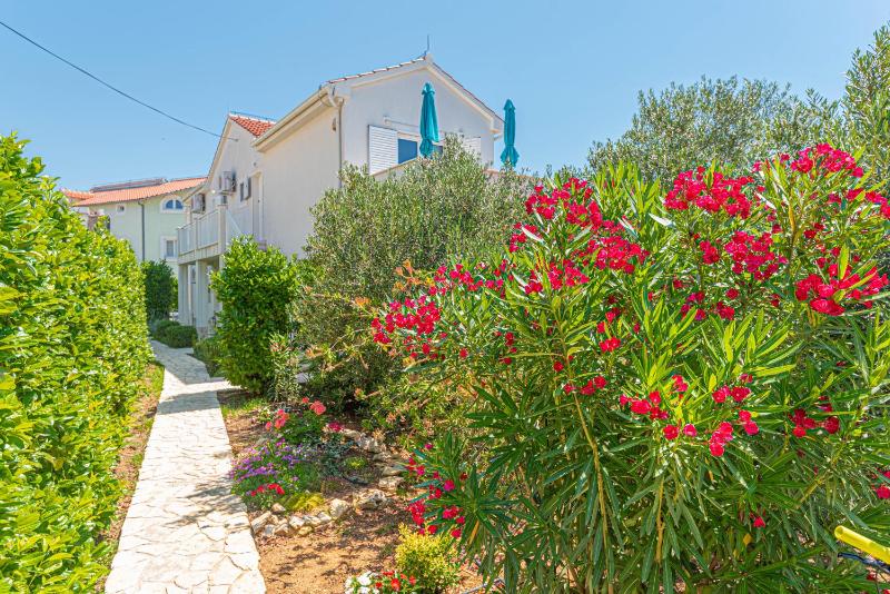 One-Bedroom Apartment image 3