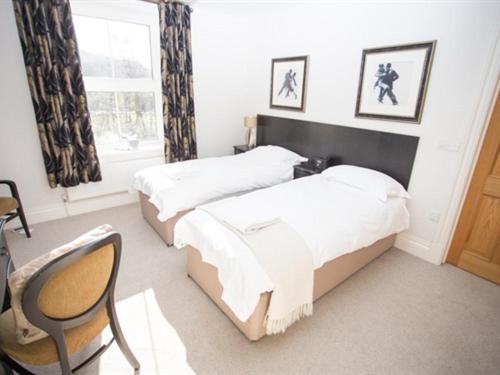 Superior Twin Room image 1