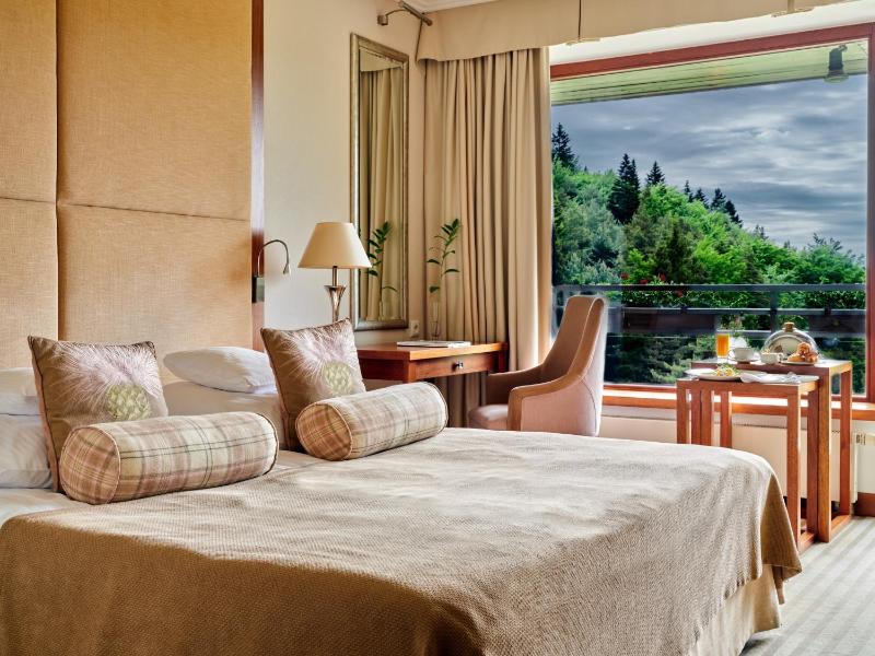 Double or Twin Room image 1