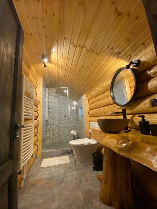 Bellevue Chalet - image 7