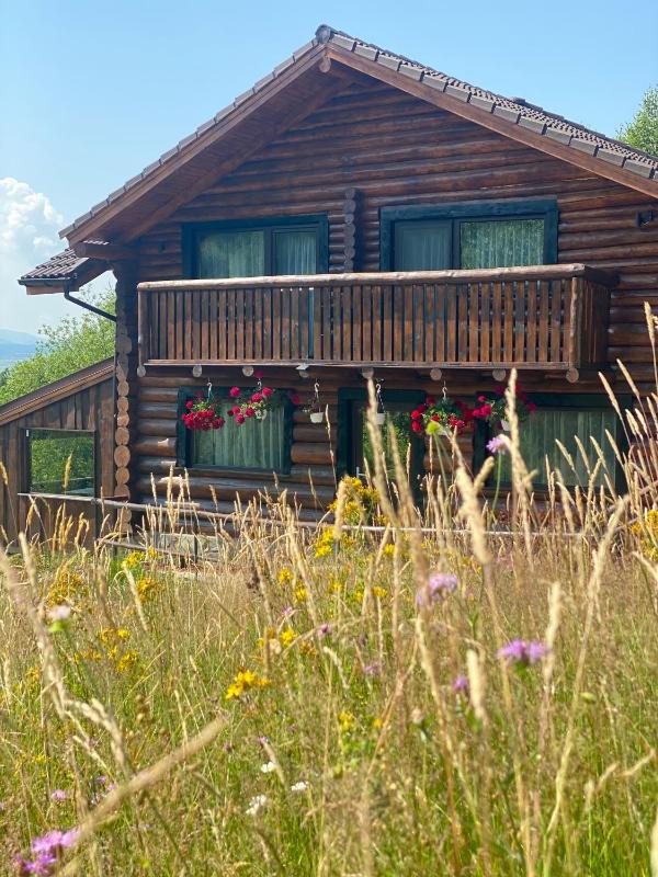 Bellevue Chalet - image 6