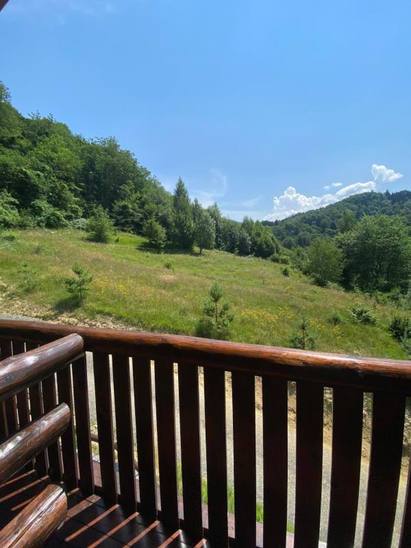 Bellevue Chalet - image 13