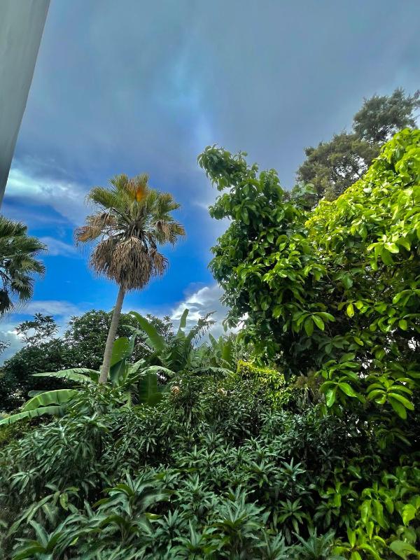 Hotel Finca San Nicolas - image 8
