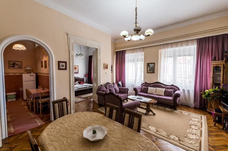 Apartment Panorama Central - image 10