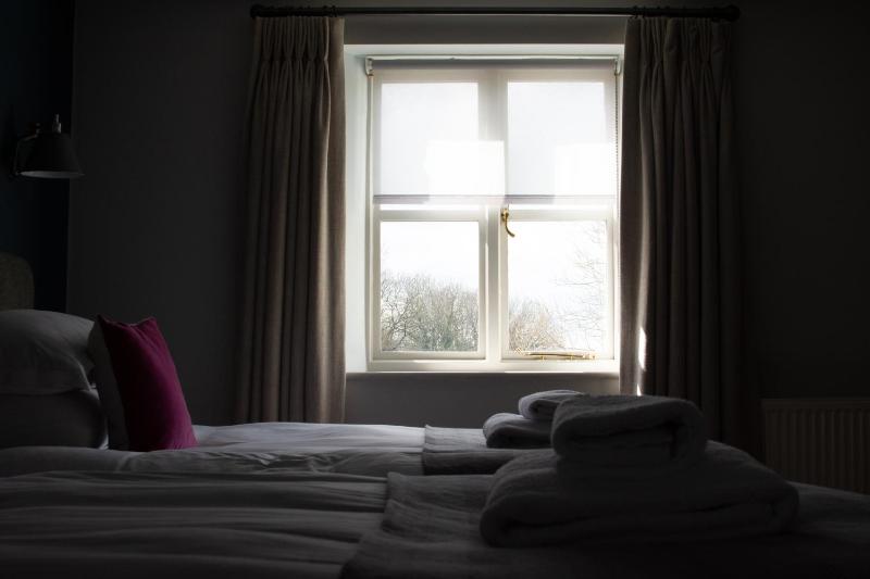 Standard Twin Room image 2