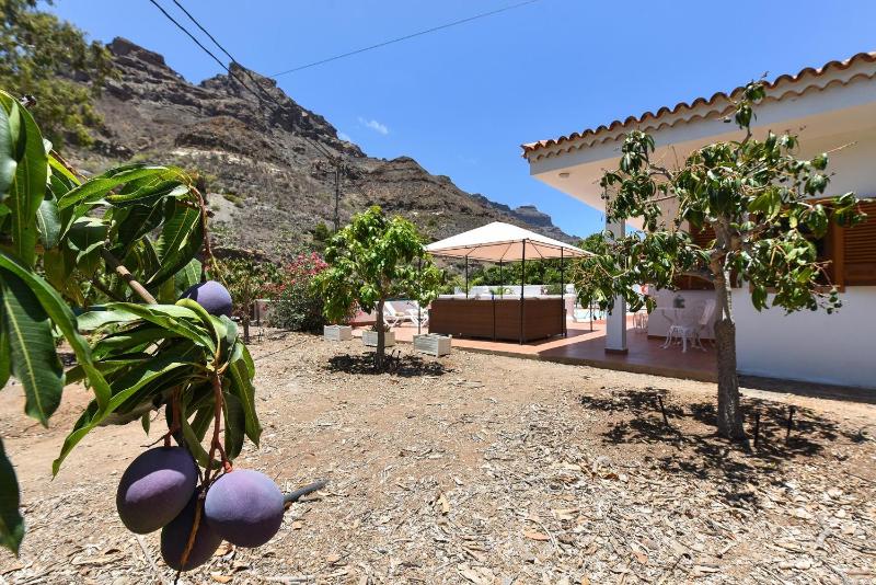 Sun Cay by VillaGranCanaria - image 36