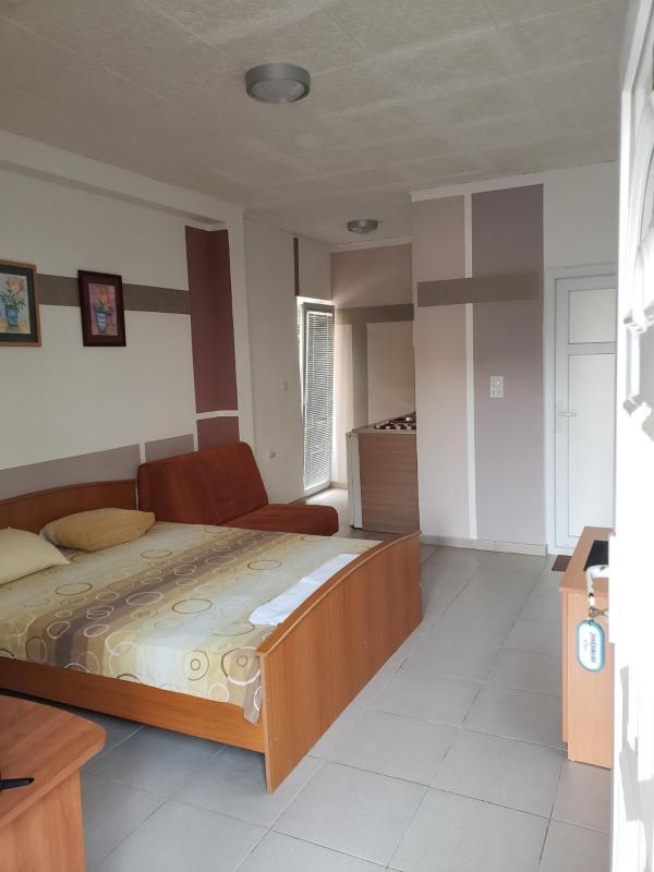 Apartment - Ground Floor image 3