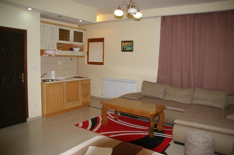 Studio Apartment image 4