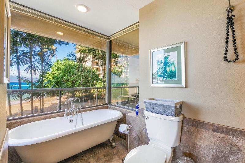 Sands Of Kahana 315 2Bd 2Ba Oceanfront condo - image 32