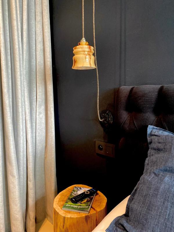 Deluxe Double or Twin Room image 2