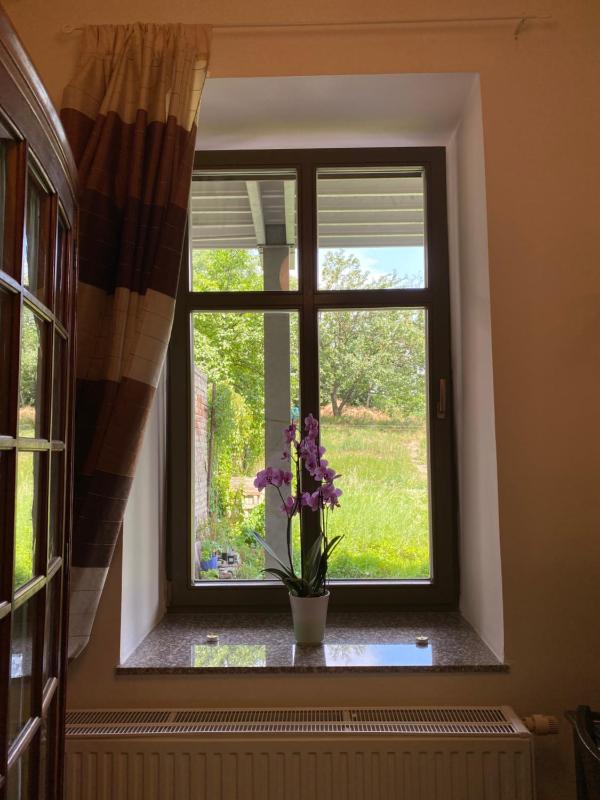 Dragonfly - image 50