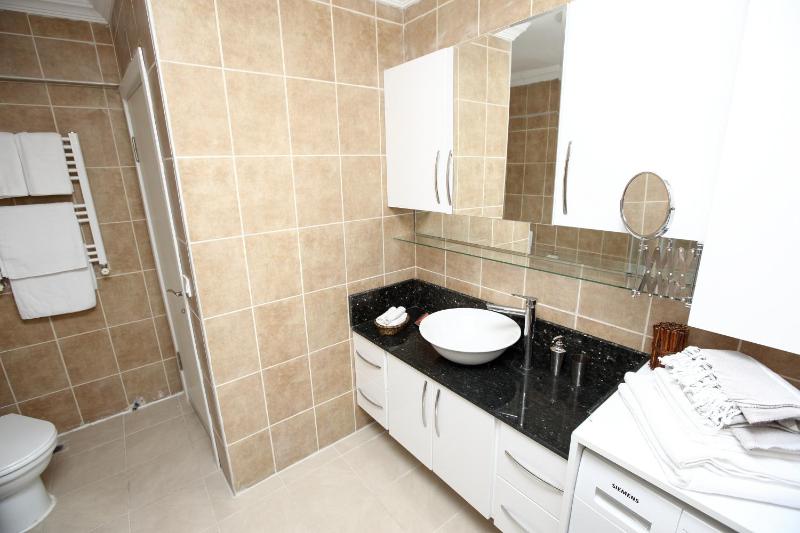 Two-Bedroom Apartment image 4