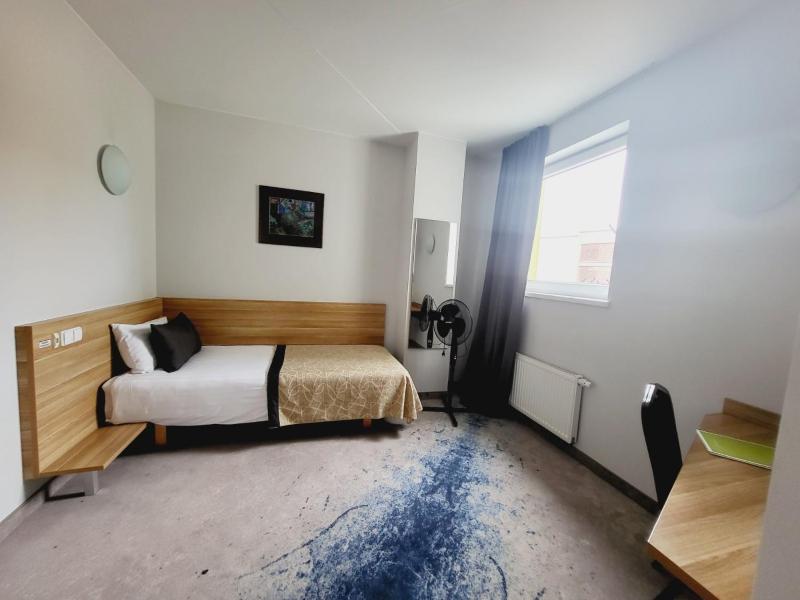 Single Room image 1