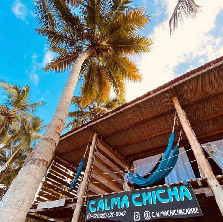 Calma Chicha - image 4