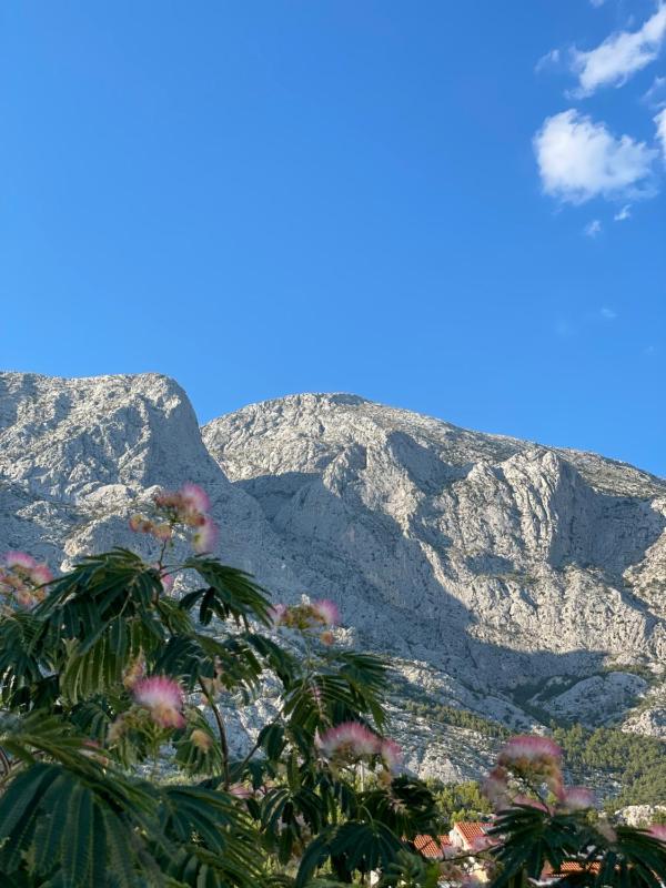 Heaven's View Apartments - image 4