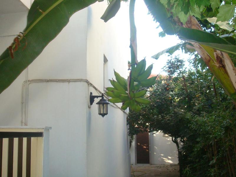 Karis Hotel - image 33