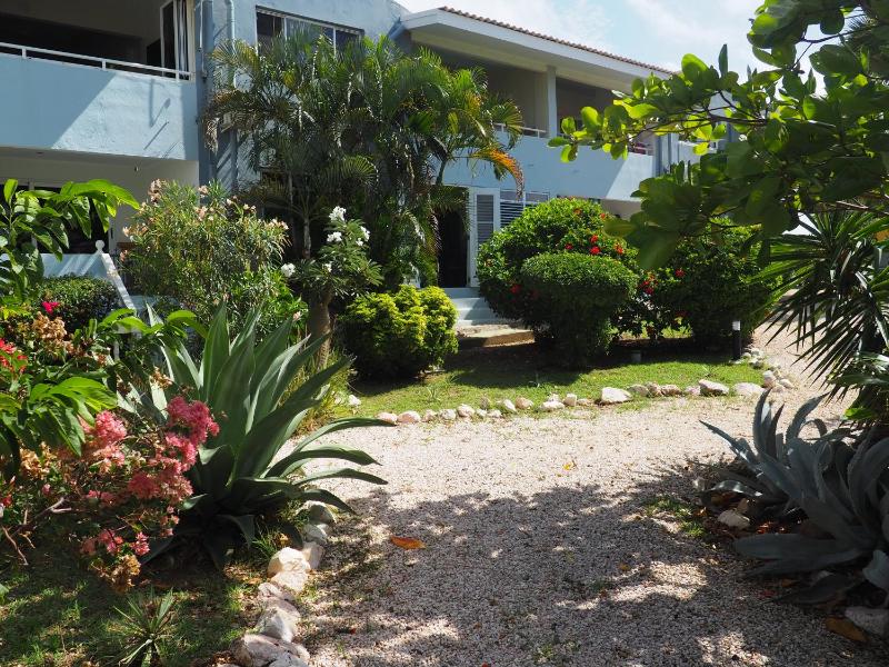Kas di BaMi A-186 op Seru Coral Resort - Ruim appartement met groot zwembad en tropische tuin - image 10