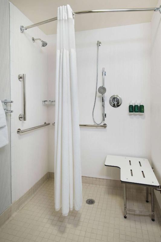 Mobility Accessible Guestroom King Roll-In Shower image 3