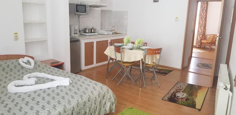 Superior Apartment image 4
