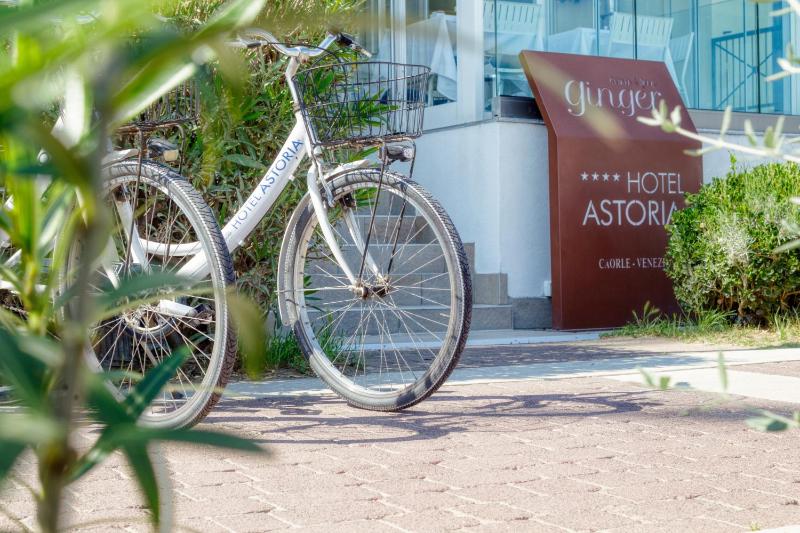 Hotel Astoria - image 9