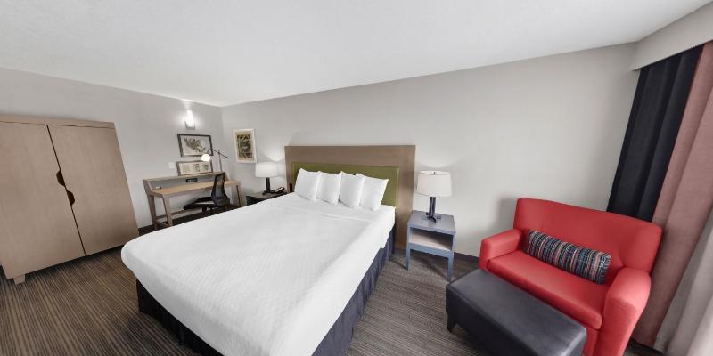 King Room image 1