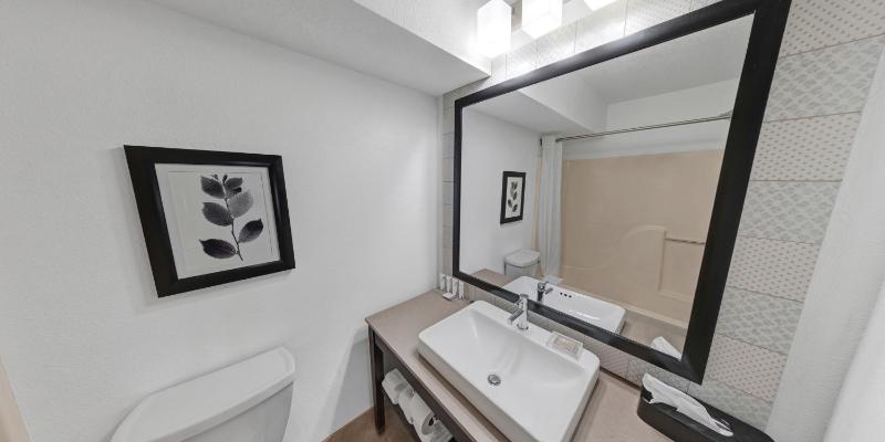 One-Bedroom King Suite image 4
