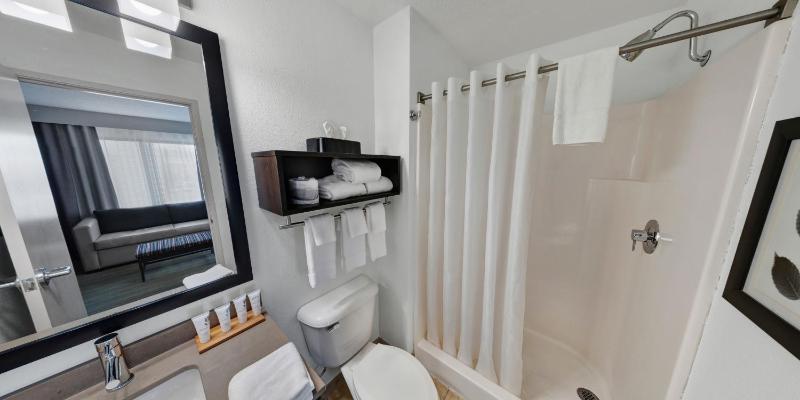 One-Bedroom King Suite image 3