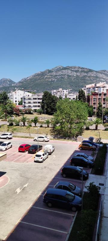 Todor apartment - image 6