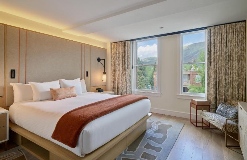 Limelight Hotel Aspen - image 8