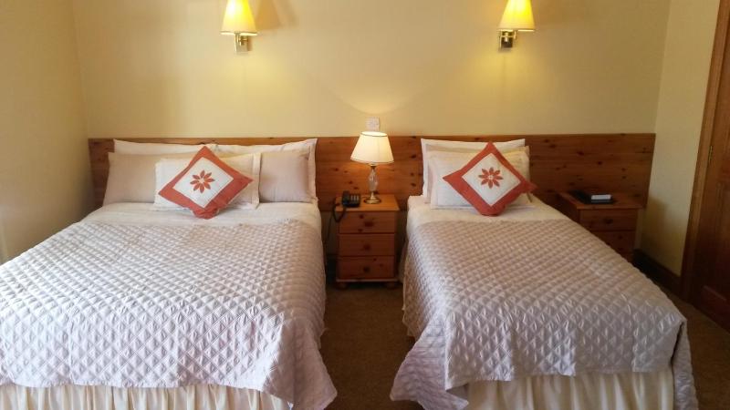 Double or Twin Room image 1