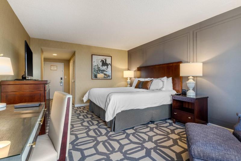Deluxe Room - 1 King Bed image 3