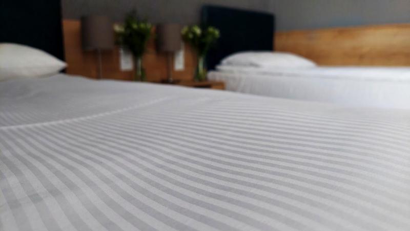 Standard Twin Room image 1