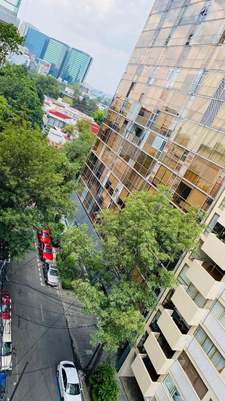 Allegro Polanco - image 16