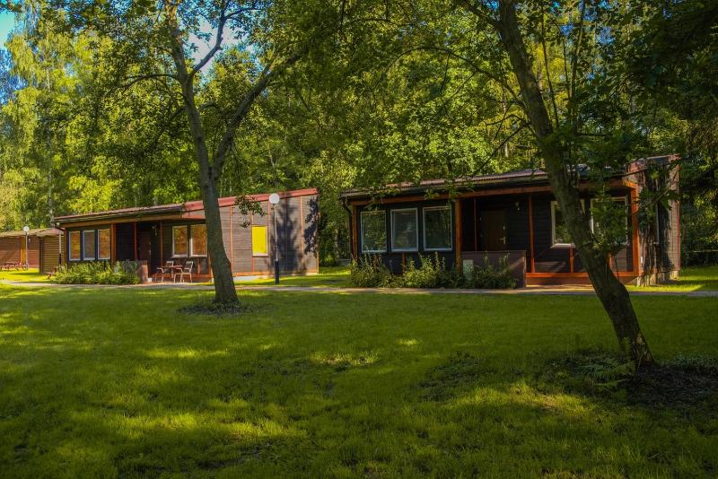Single-story chalet for 6 people image 3
