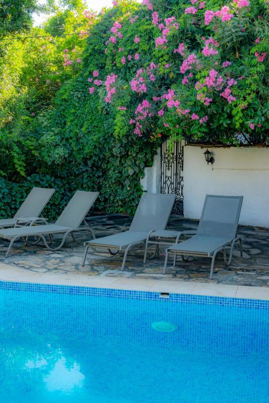 Economy Double or Twin Room image 2