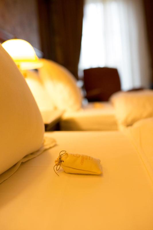 Deluxe Twin Room with Bosphorus and Park View image 4